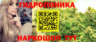 mix Кингисепп