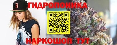 mix Кингисепп