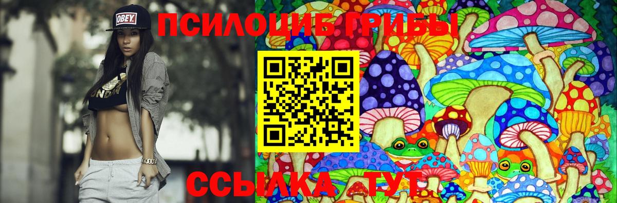 Псилоцибиновые грибы Psilocybine cubensis  Вход с VPN  Усть-Илимск 