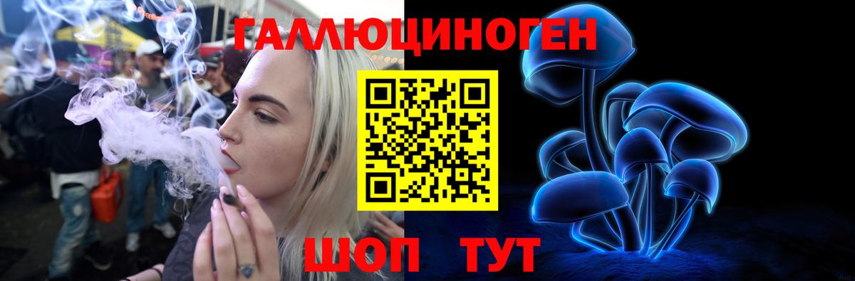 Галлюциногенные грибы GOLDEN TEACHER Усть-Илимск